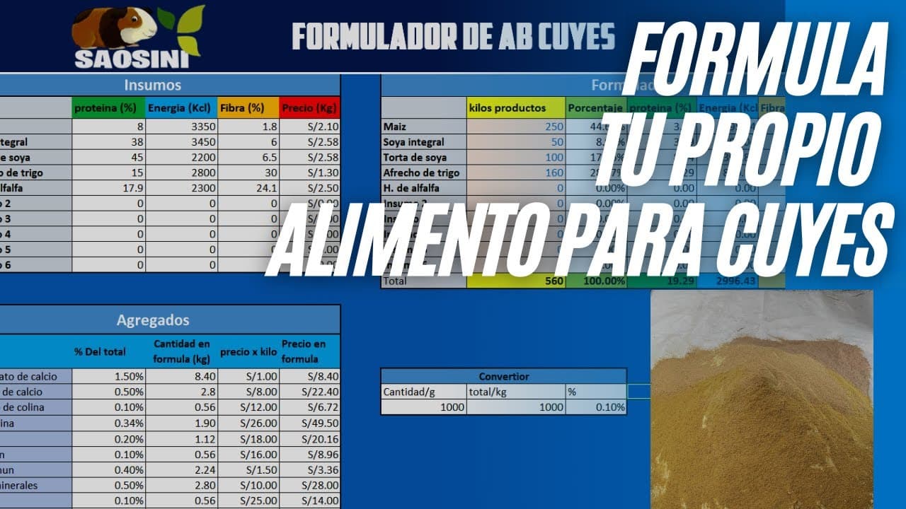 Cómo hacer alimento balanceado para cuyes | Software Excel Gratis